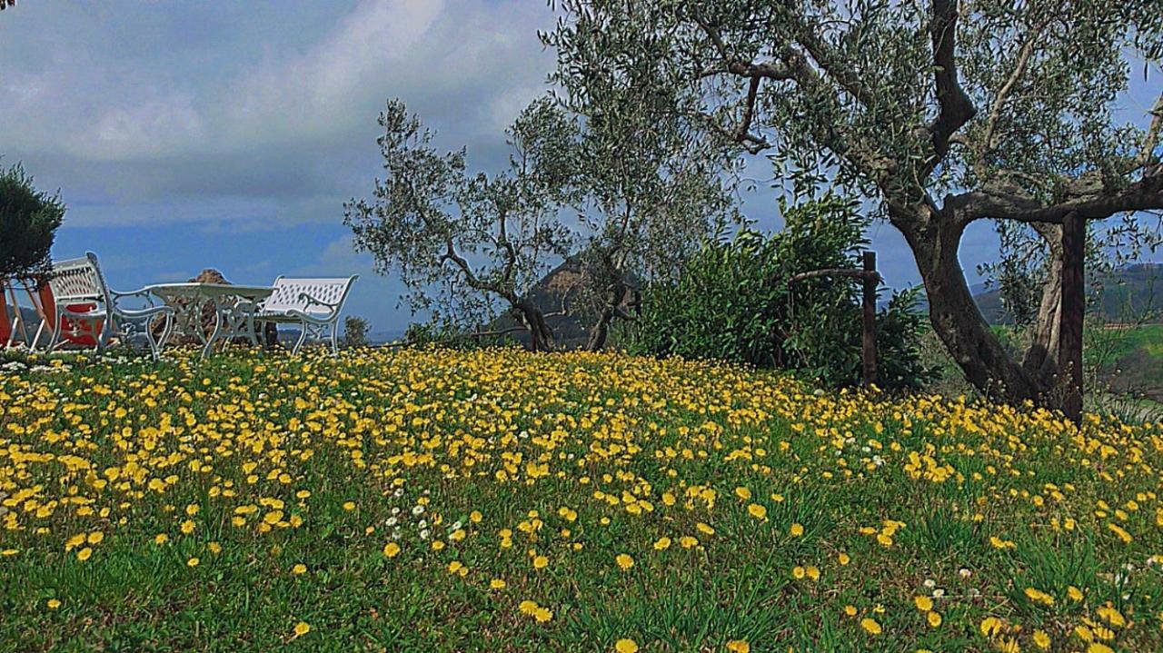 Agriturismo Villa Felice Volterra Kültér fotó