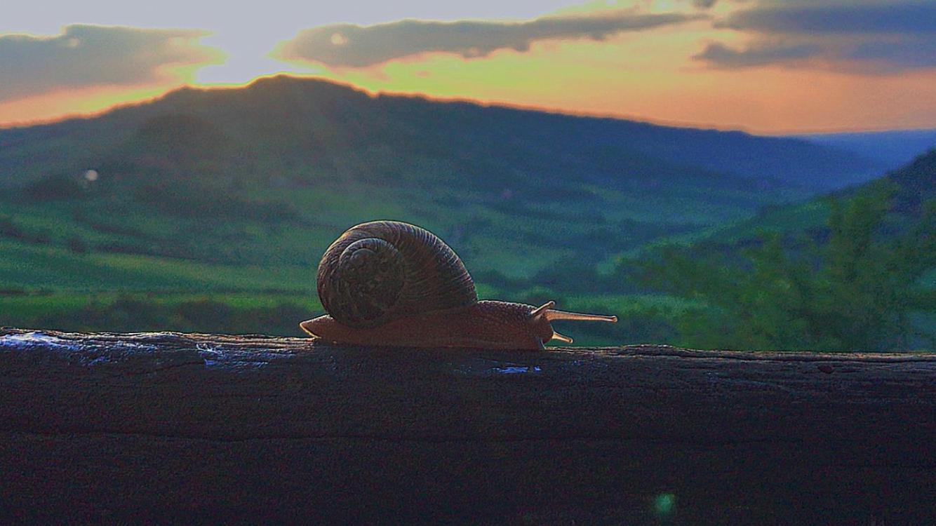 Agriturismo Villa Felice Volterra Kültér fotó